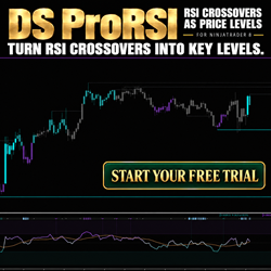 DS ProRSI